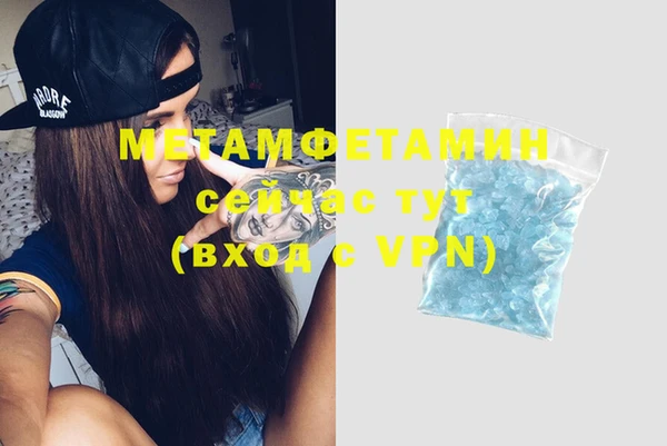 хмурый Пересвет