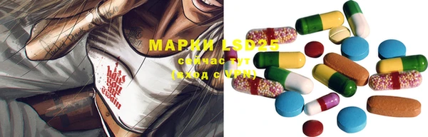хмурый Пересвет
