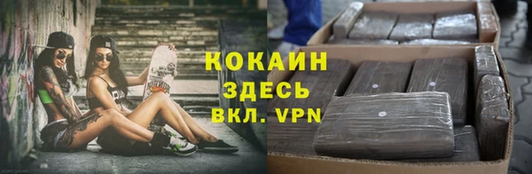 бошки Пестово