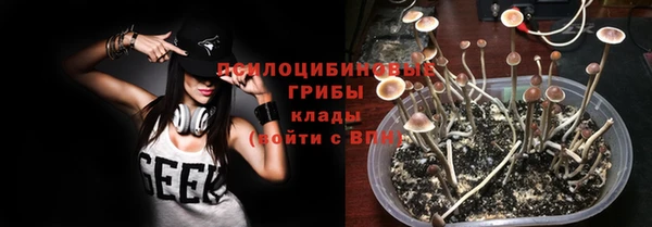 хмурый Пересвет
