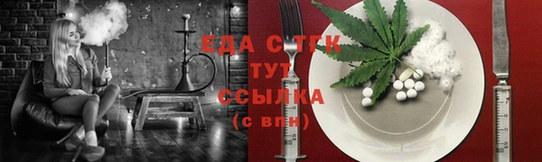 хмурый Пересвет