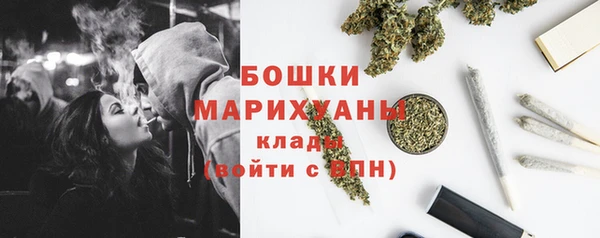 хмурый Пересвет