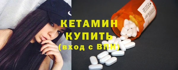 хмурый Пересвет