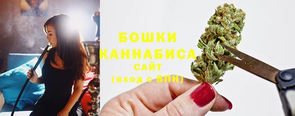 хмурый Пересвет
