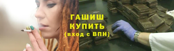 хмурый Пересвет