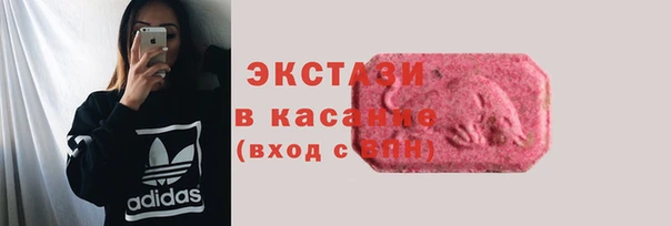 хмурый Пересвет