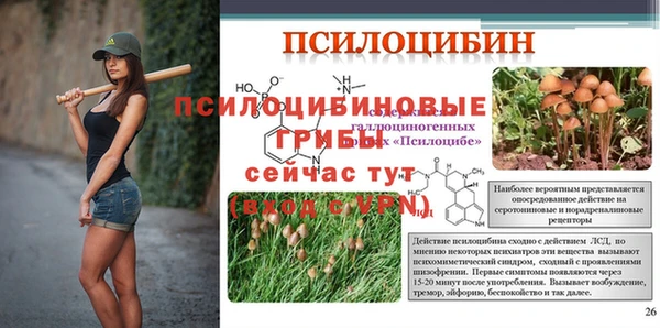 мескалин Переславль-Залесский