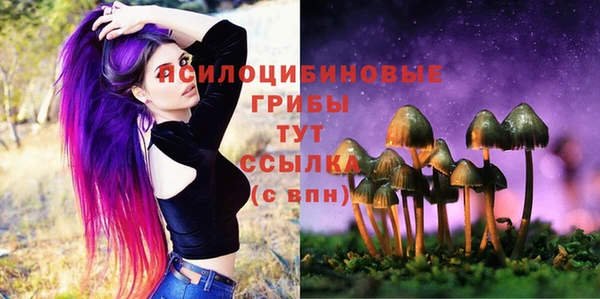 мескалин Переславль-Залесский