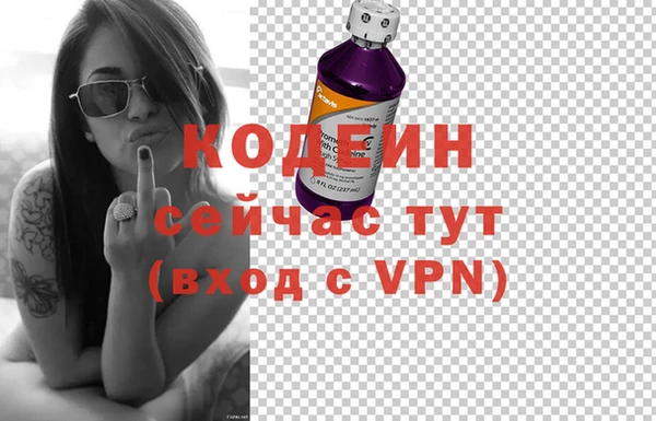 хмурый Пересвет