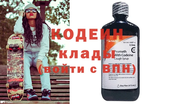 хмурый Пересвет