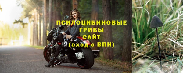 бошки Пестово