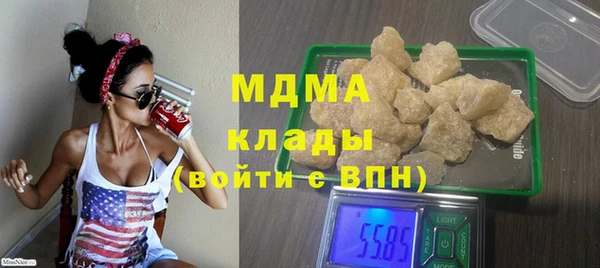 хмурый Пересвет