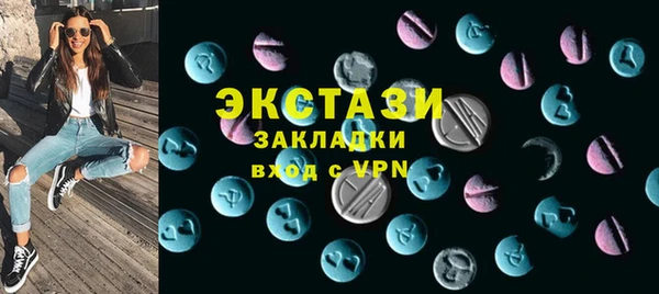 хмурый Пересвет