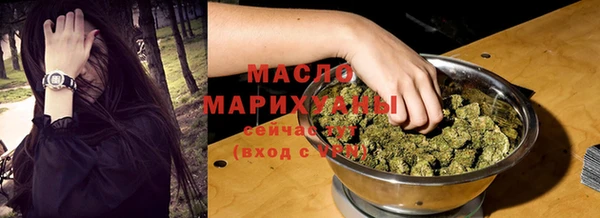 хмурый Пересвет