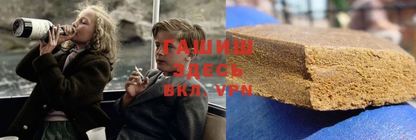 хмурый Пересвет