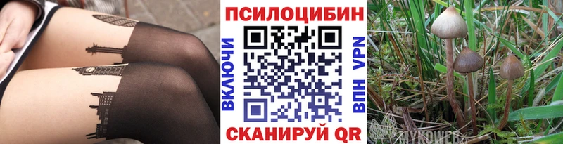 hydra ссылки  Слюдянка  Галлюциногенные грибы MAGIC MUSHROOMS  наркошоп 